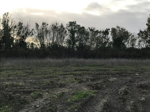 Venteterrain