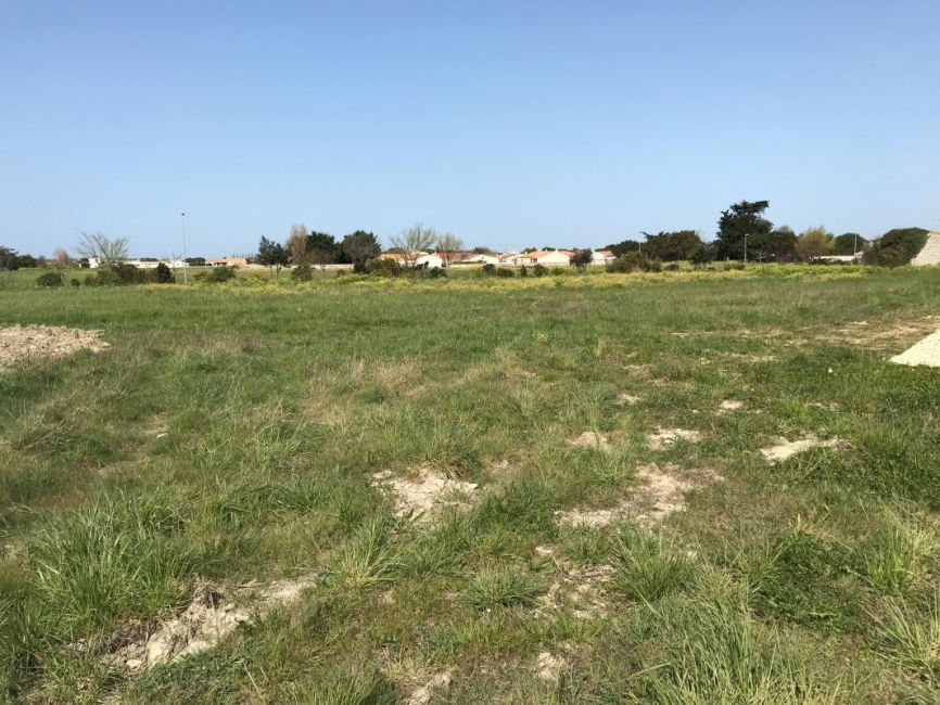 Vente terrain Saint-Georges-du-Bois Charente-Maritime