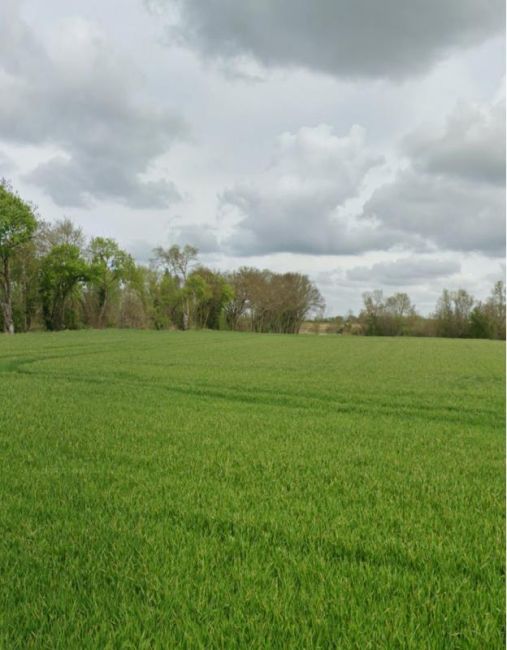 Vente terrain Bouhet Charente-Maritime