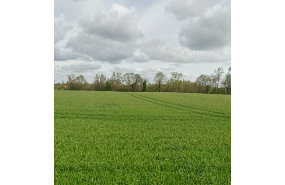 Vente terrain Bouhet Charente-Maritime