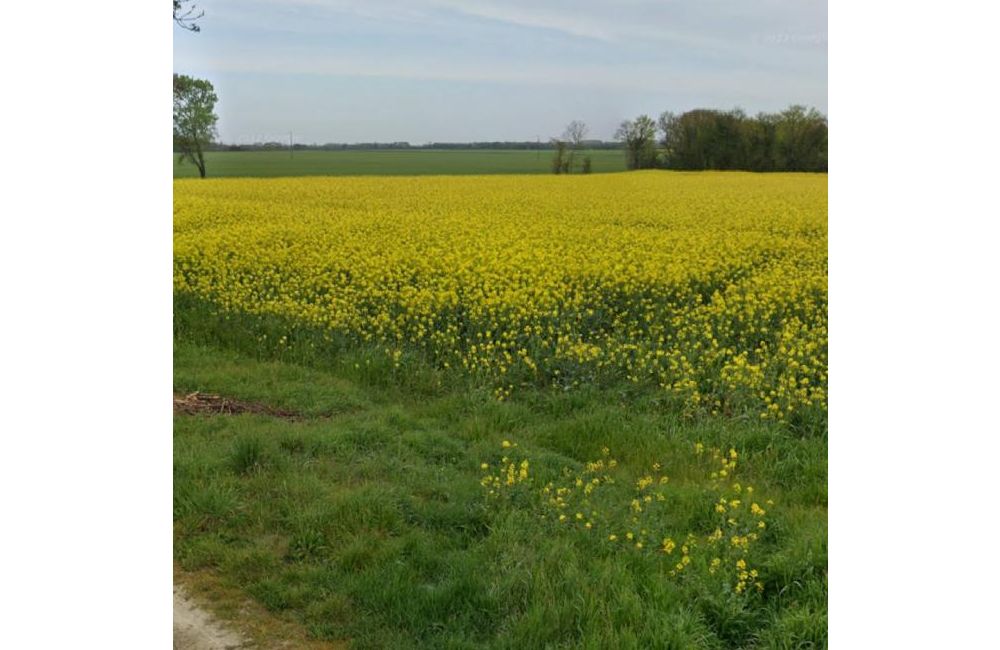 Vente terrain Puyravault Charente-Maritime