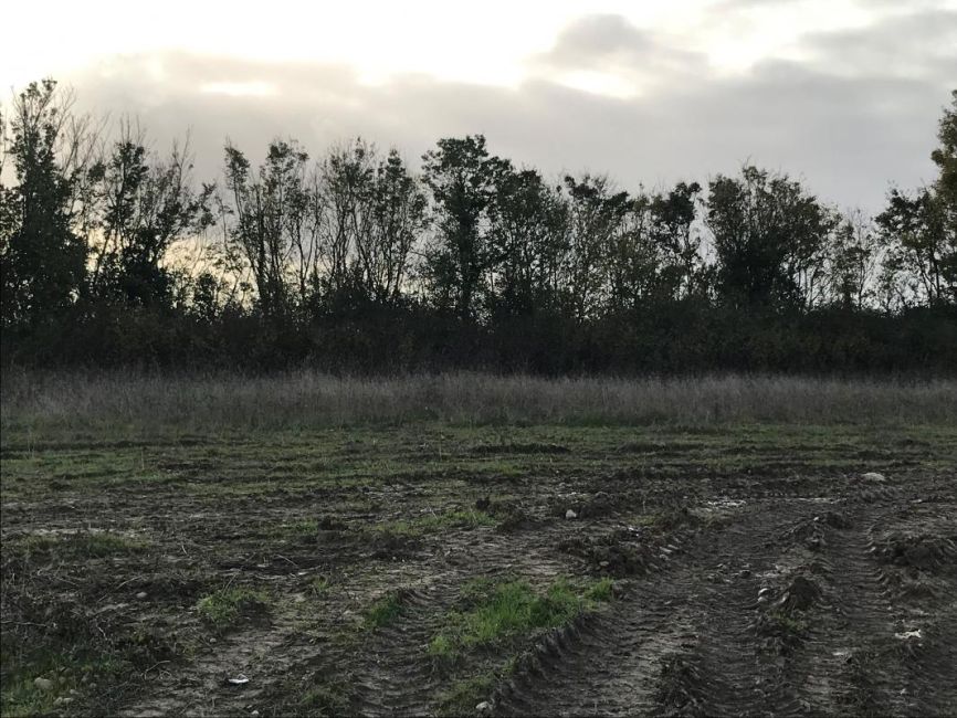 Vente terrain Saint-Hippolyte Charente-Maritime