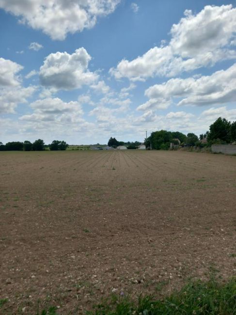 Vente terrain BALLON Charente-Maritime