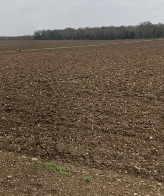 Vente terrain saint xandre Charente-Maritime