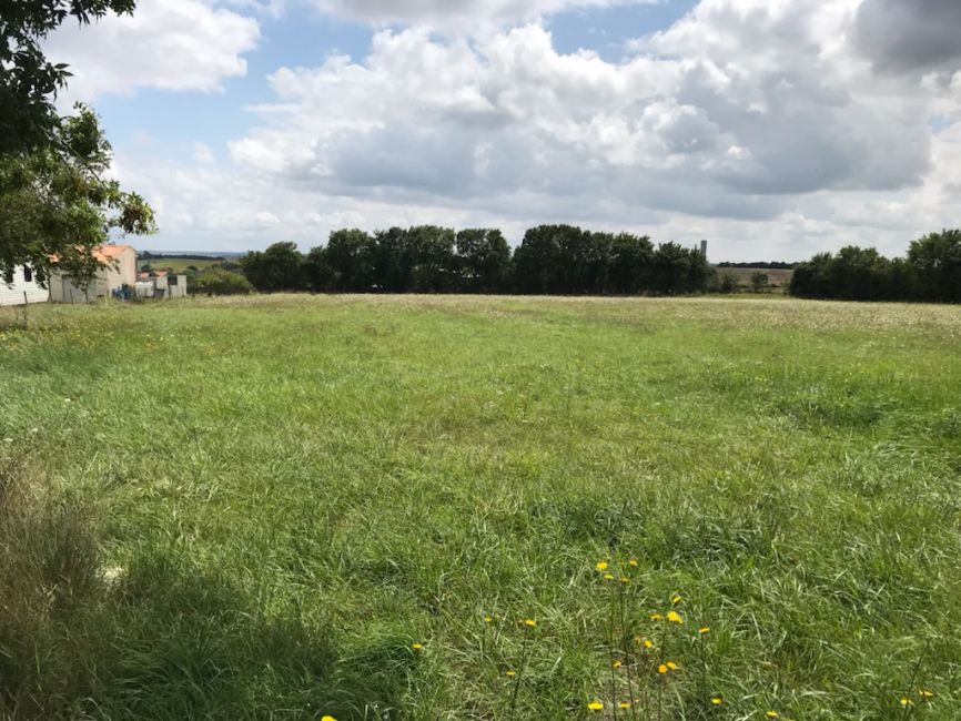Vente terrain Loire-les-Marais Charente-Maritime