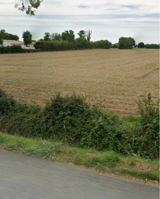 Vente terrain Le Thou Charente-Maritime