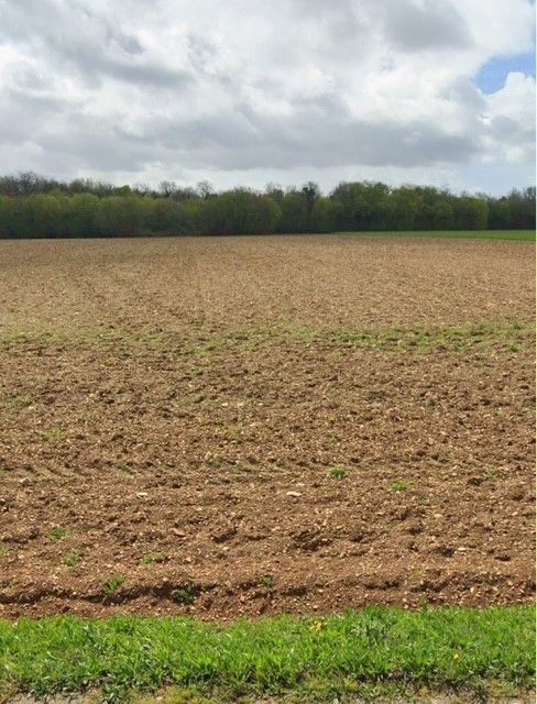 Vente terrain Villedoux Charente-Maritime