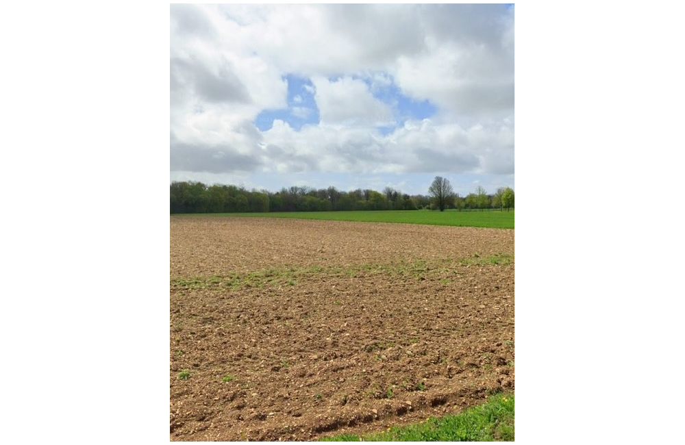 Vente terrain Villedoux Charente-Maritime
