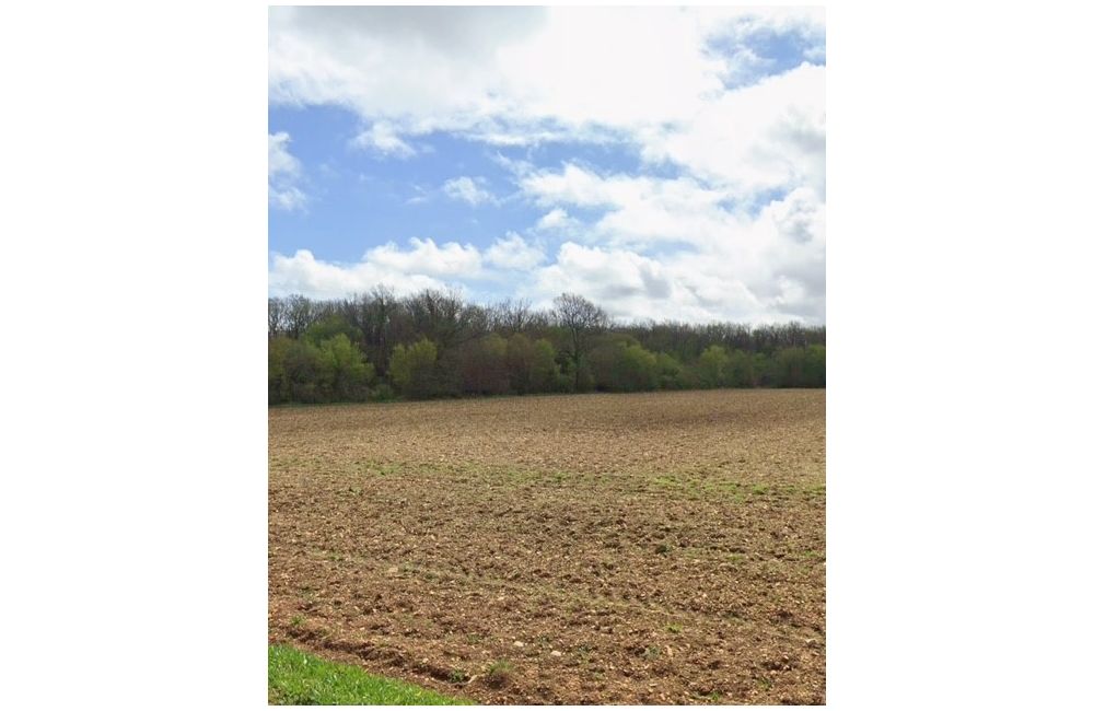 Vente terrain Villedoux Charente-Maritime