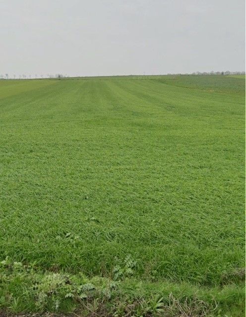 Venteterrain