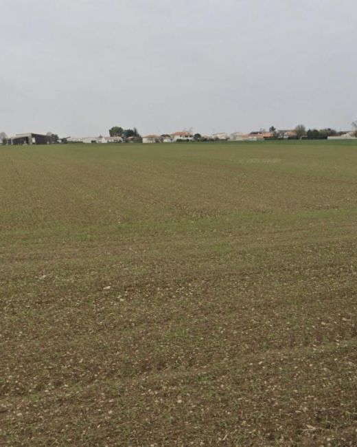 Vente terrain Villedoux Charente-Maritime