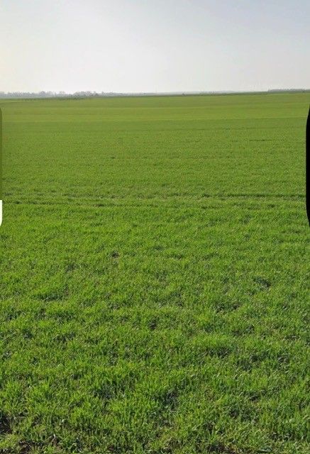 Vente terrain Andilly Charente-Maritime