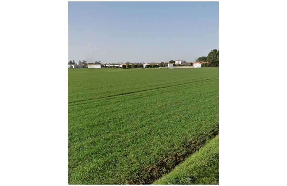 Vente terrain Andilly Charente-Maritime