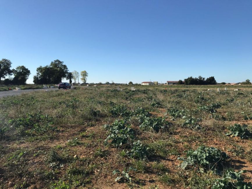 Vente terrain Loire-les-Marais Charente-Maritime