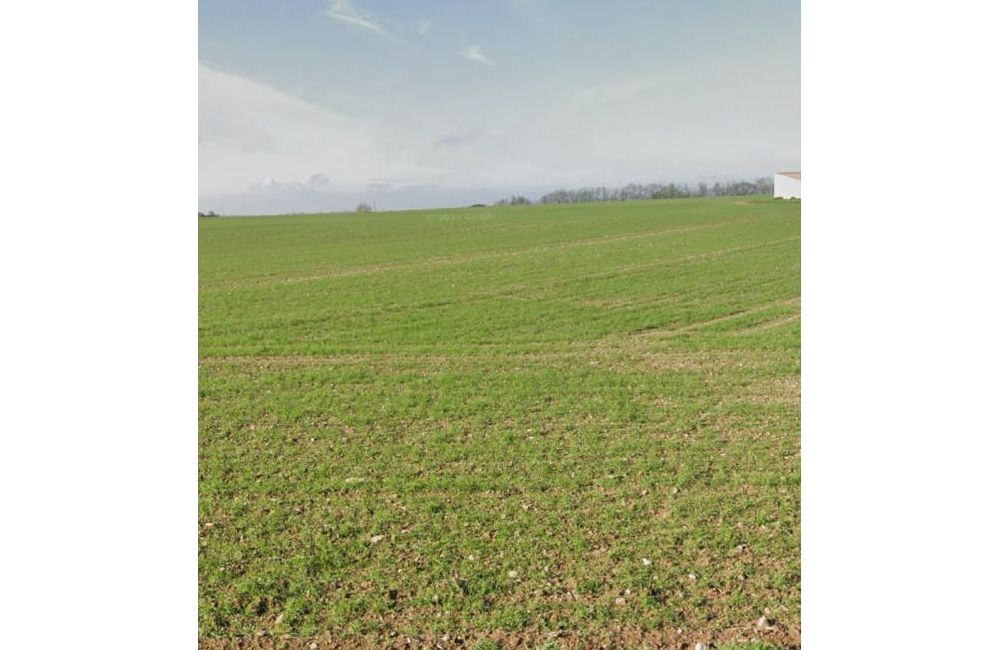 Vente terrain Villedoux Charente-Maritime