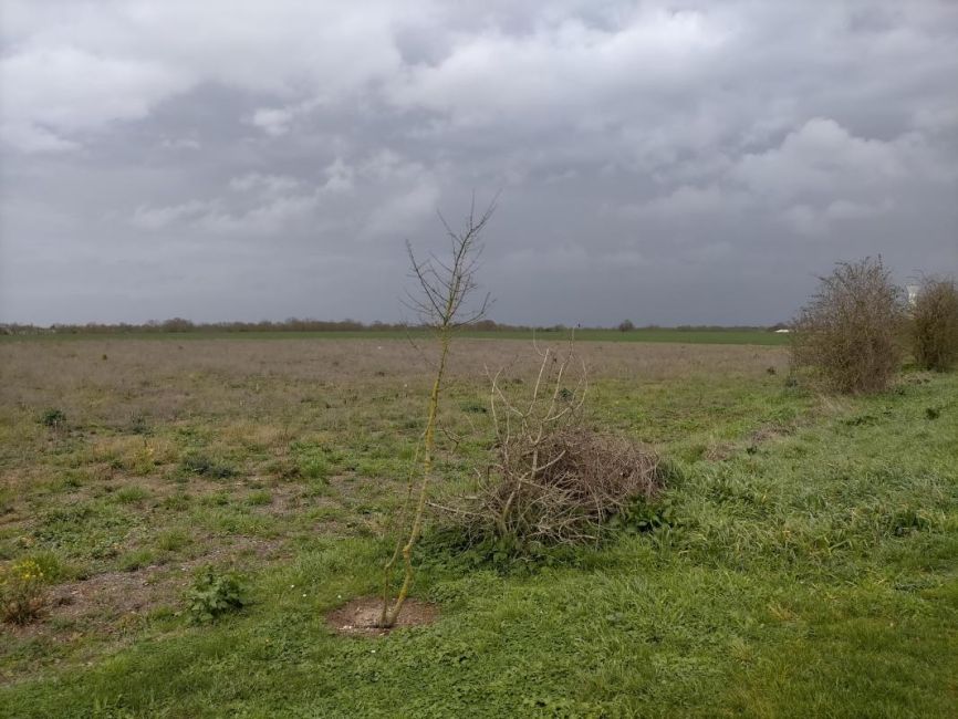 Vente terrain Puyravault Charente-Maritime