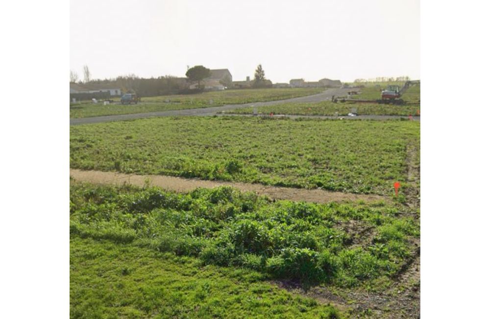 Vente terrain thou Charente-Maritime