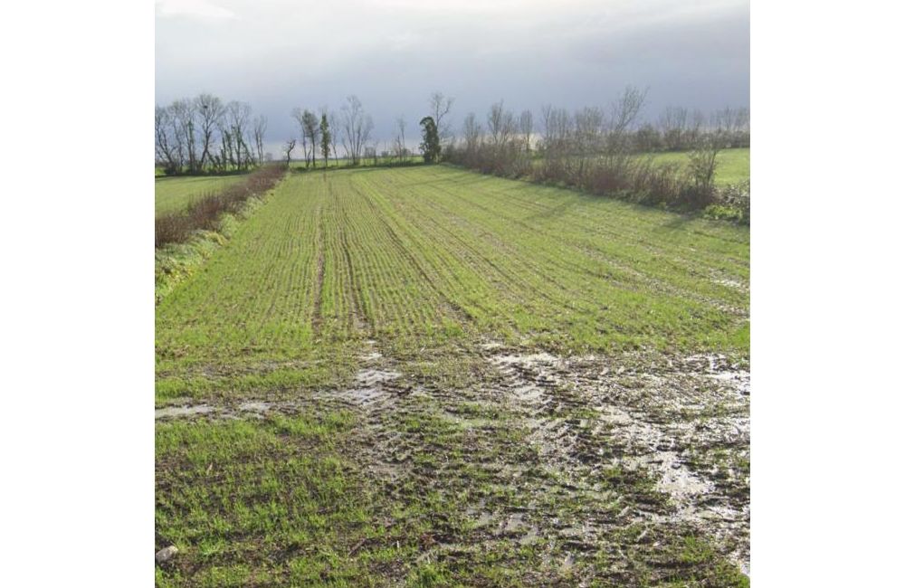 Vente terrain Aigrefeuille-d'Aunis Charente-Maritime