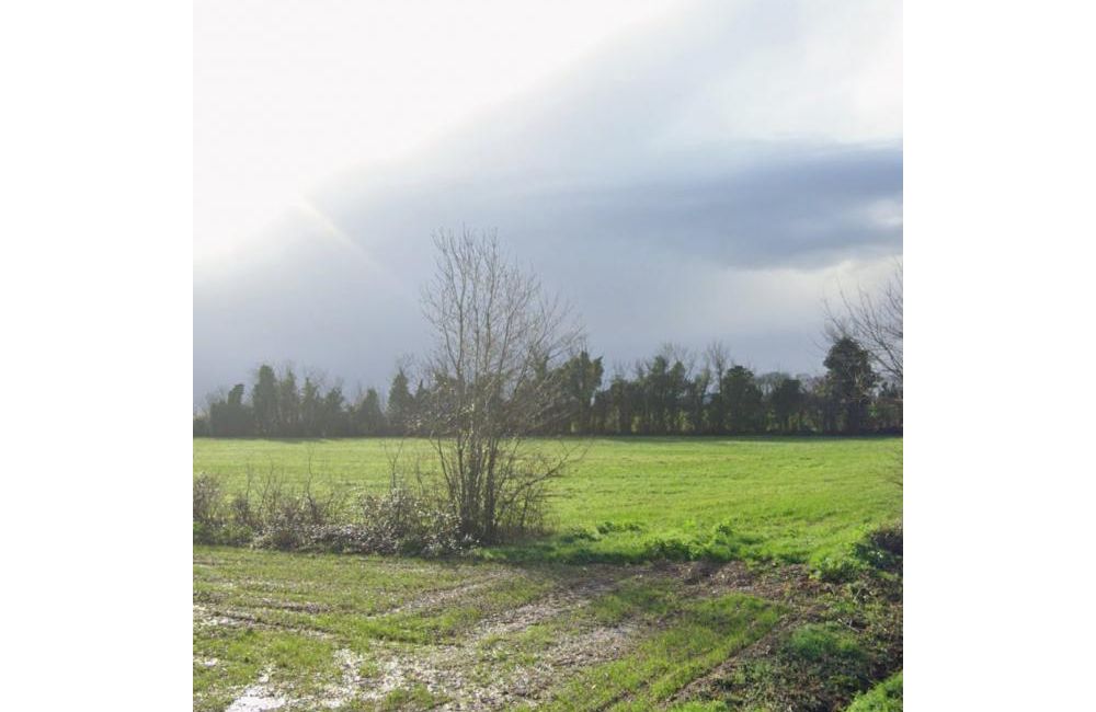 Vente terrain Aigrefeuille-d'Aunis Charente-Maritime