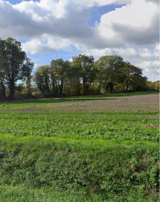 Vente terrain Bouhet Charente-Maritime