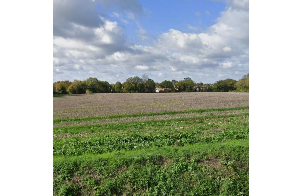 Vente terrain Bouhet Charente-Maritime