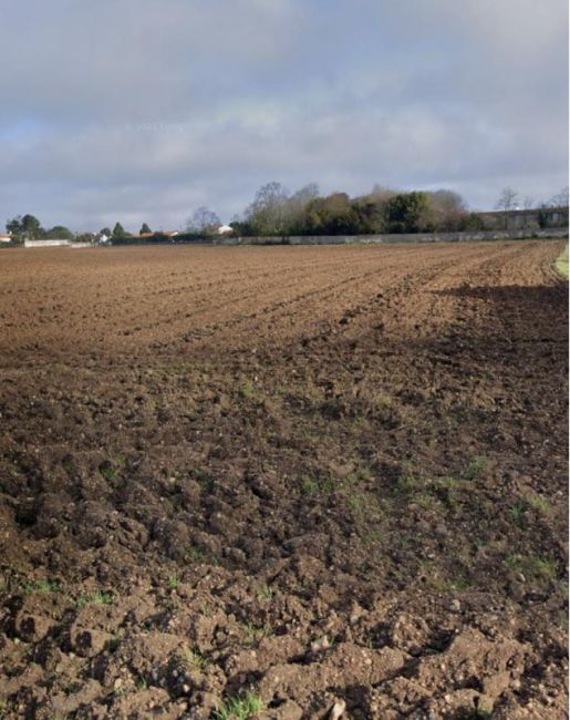 Vente terrain Vérines Charente-Maritime