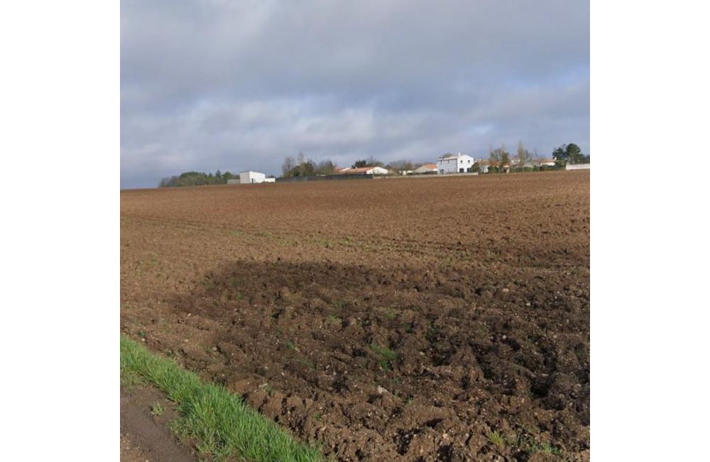 Vente terrain Vérines Charente-Maritime