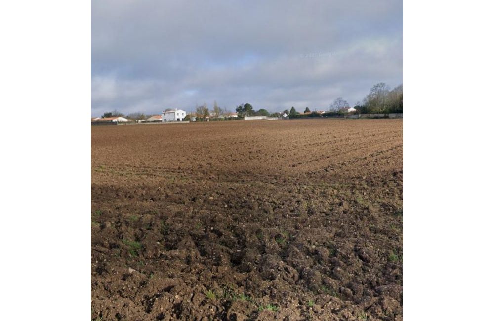 Vente terrain Vérines Charente-Maritime