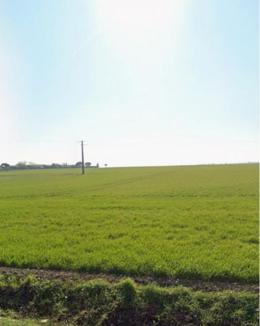 Vente terrain Vérines Charente-Maritime