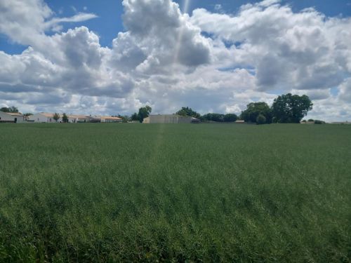 Venteterrain