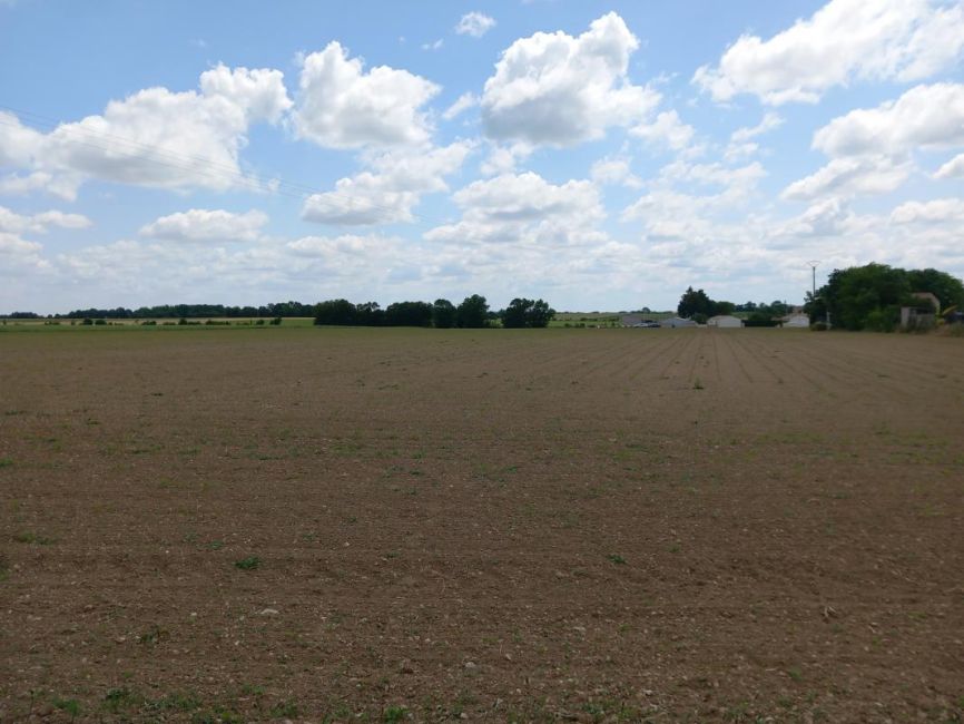 Vente terrain Le Thou Charente-Maritime