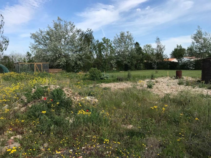 Vente terrain Rochefort Charente-Maritime