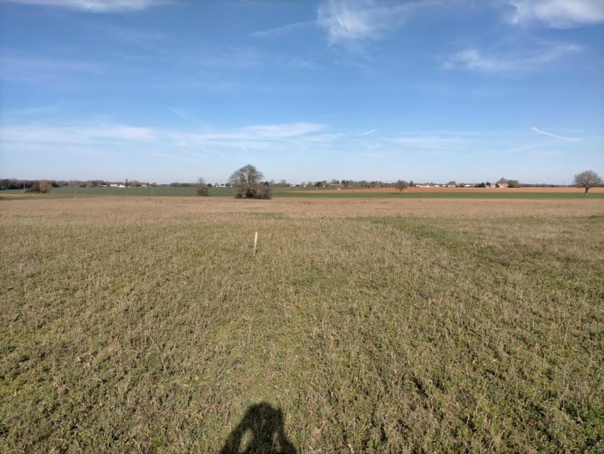 Vente terrain Surgères Charente-Maritime