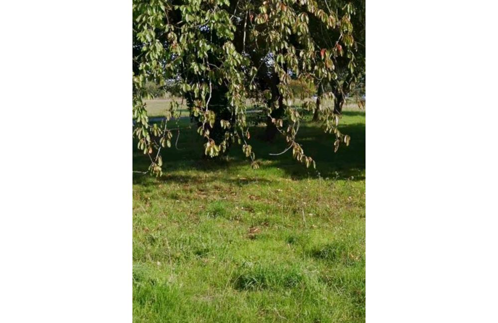 Vente terrain Saint-Rogatien Charente-Maritime