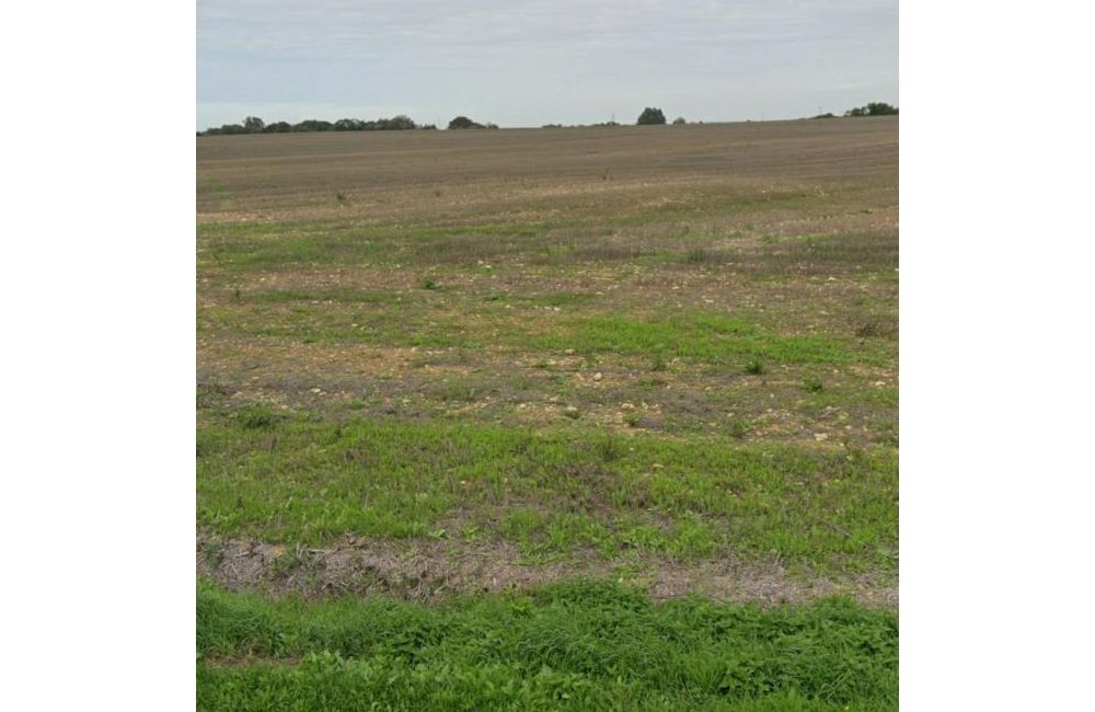 Vente terrain Villedoux Charente-Maritime