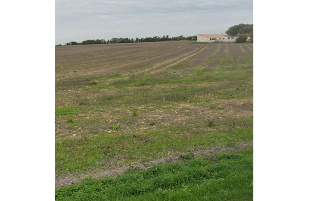 Vente terrain Villedoux Charente-Maritime