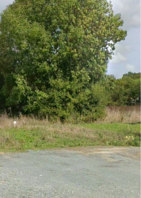 Vente terrain Vouhé Charente-Maritime