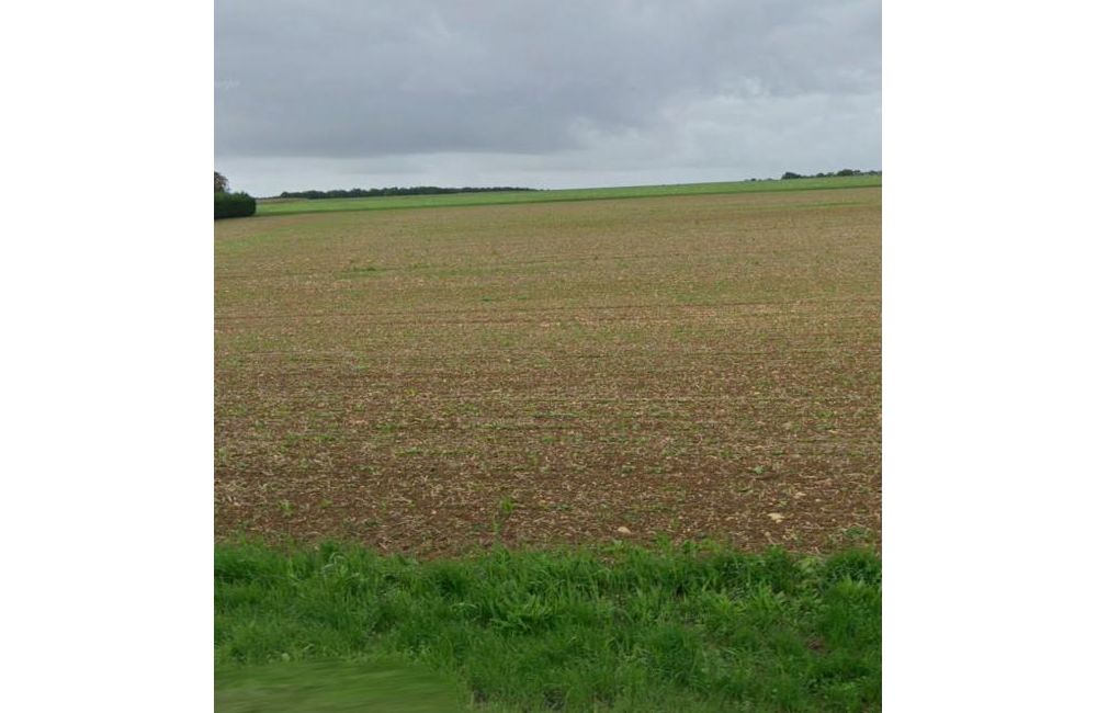 Vente terrain Anais Charente-Maritime