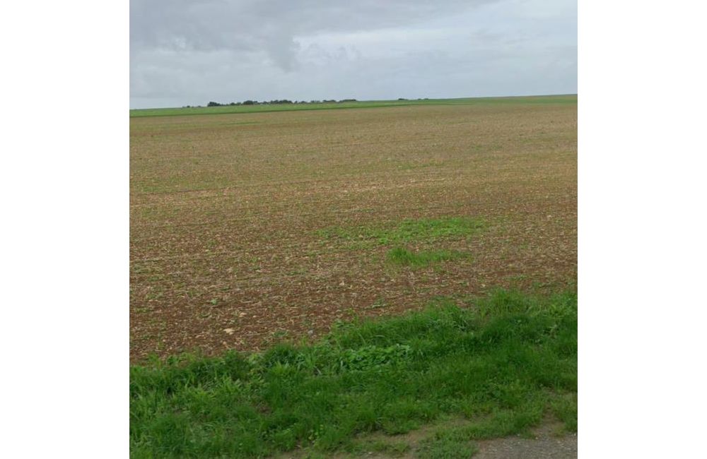 Vente terrain Anais Charente-Maritime