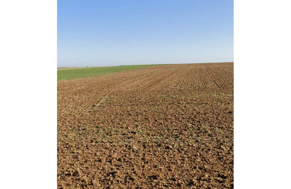 Vente terrain Sainte-Soulle Charente-Maritime