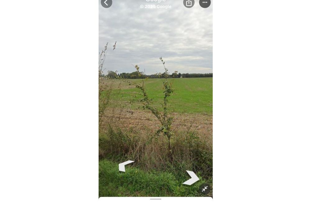 Vente terrain Villedoux Charente-Maritime