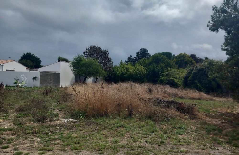 Vente terrain Saint-Vivien Charente-Maritime