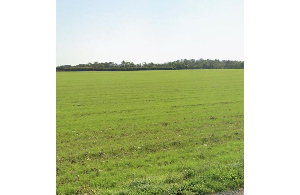 Vente terrain Angliers Charente-Maritime