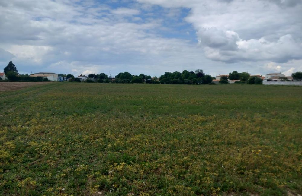 Vente terrain Ballon Charente-Maritime