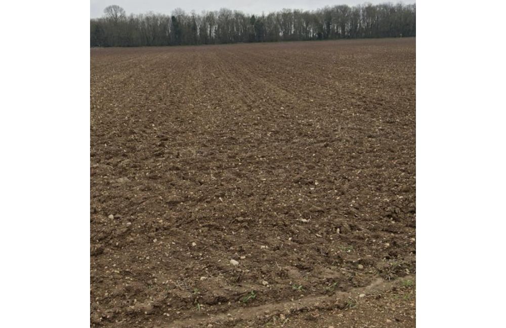 Vente terrain saint xandre Charente-Maritime