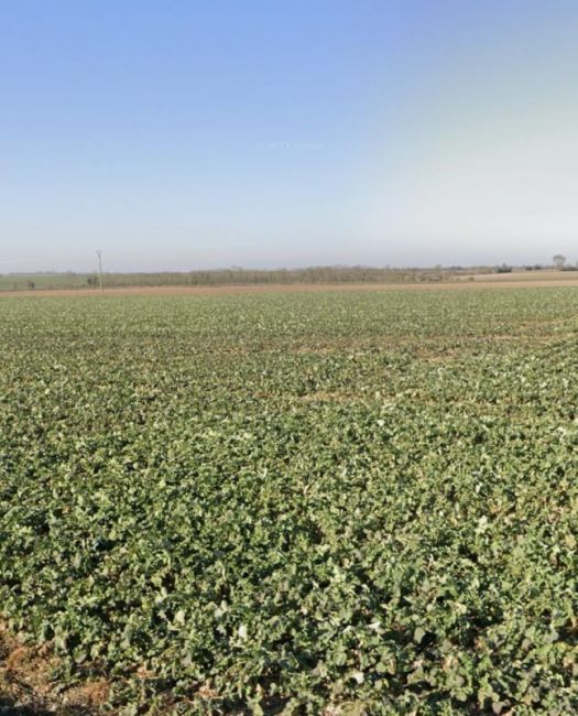 Vente terrain Angliers Charente-Maritime