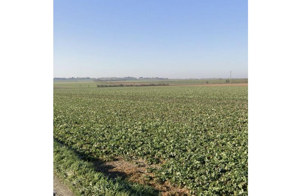 Vente terrain Angliers Charente-Maritime