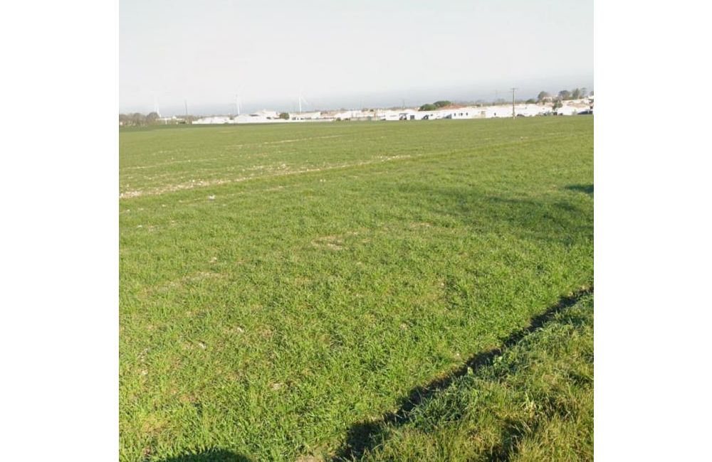 Vente terrain Angliers Charente-Maritime