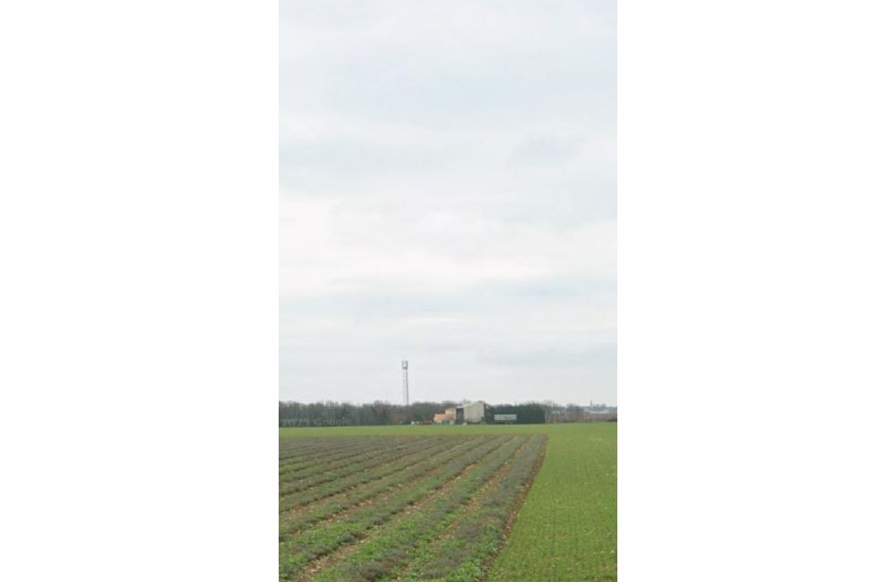 Vente terrain Sainte-Soulle Charente-Maritime