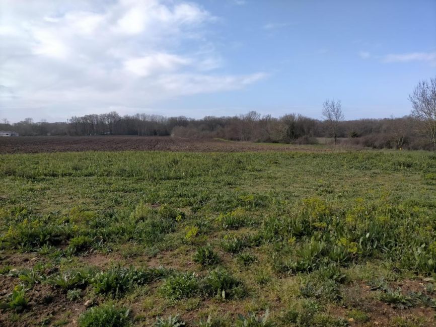 Vente terrain Moëze Charente-Maritime